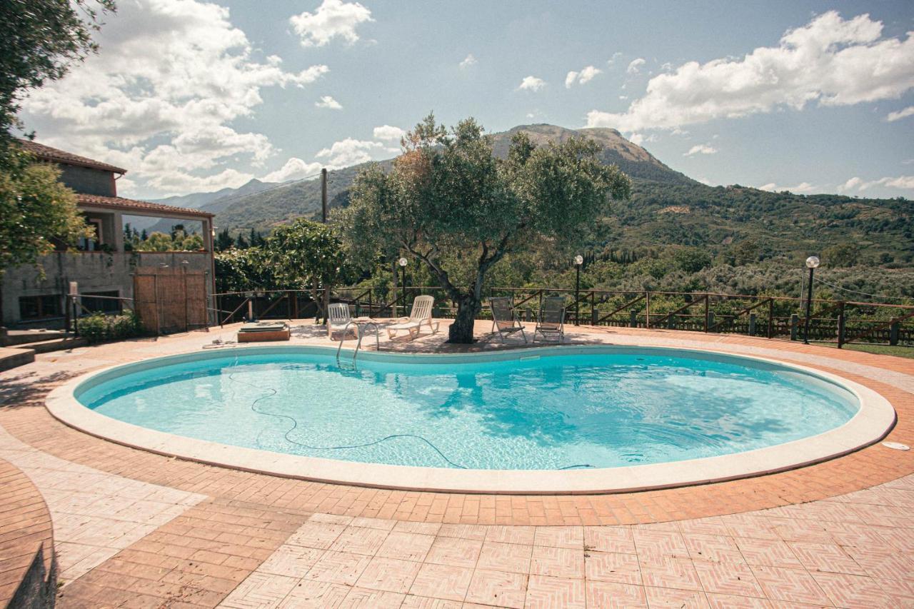 I Cedri Agriturismo Biologico Orsomarso 外观 照片